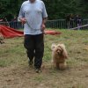 foire-haricots 2011-09-17et18